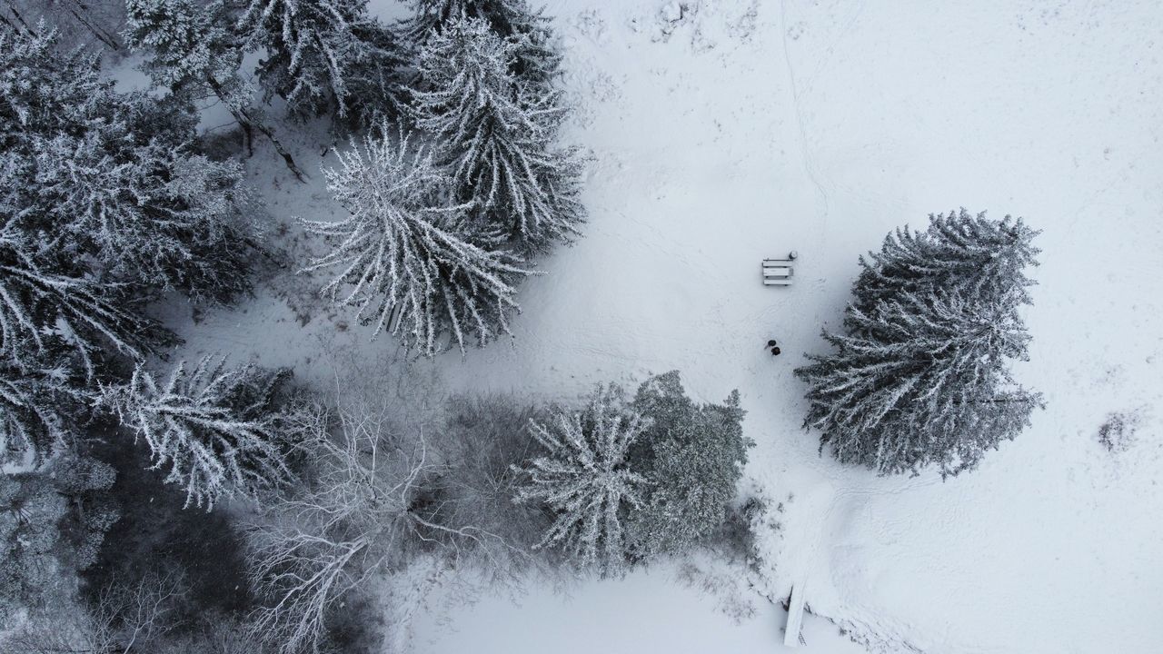 HIGH ANGLE VIEW OF SNOW COVERED FIELD