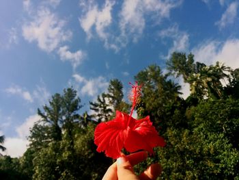 Woman holding flower in park