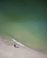 Person on beach by sea