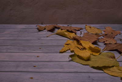 Close-up of autumn leaves on wooden table