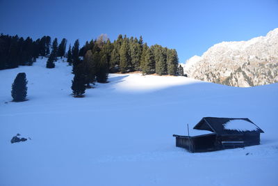 snow