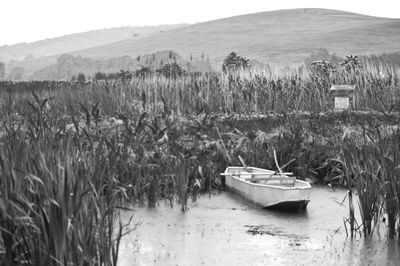 View of boats in water