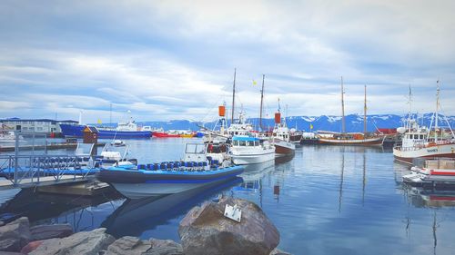Boats moored at harbor