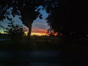 Silhouette trees against sky during sunset