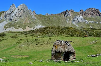 Braña de murias chongas, somiedo, asturias. a modest shepherds' hut with plant cover.