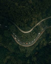 High angle view of road amidst trees