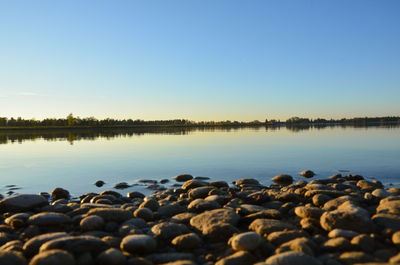 Surface level of pebble beach against clear blue sky