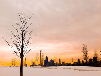Bare trees on snow covered landscape against sky
