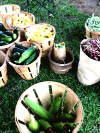 Close-up of food on table