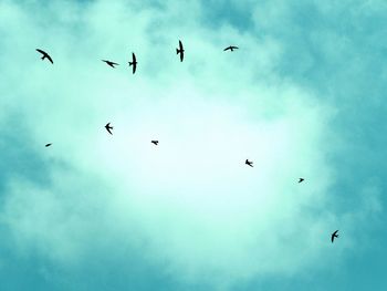 Low angle view of silhouette birds flying against sky