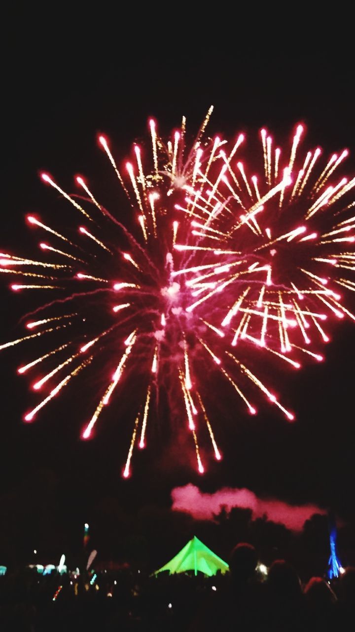 FIREWORK DISPLAY AT NIGHT