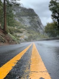 Surface level of wet road against trees