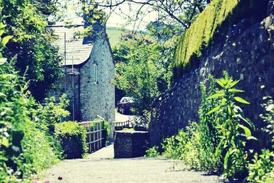 Narrow walkway along buildings