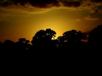 Silhouette of trees at sunset