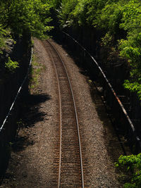View of railroad tracks amidst trees