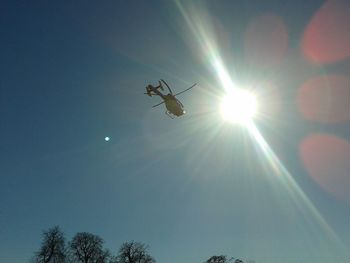 Low angle view of insect against sky on sunny day