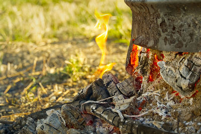 Close-up of fire on wood