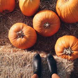 Low section of person standing on hay bale by pumpkins on field