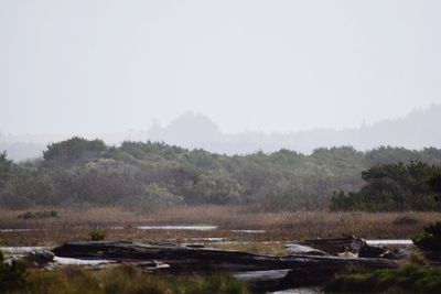 Scenic view of landscape against cloudy sky