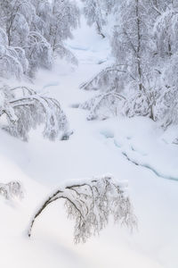 Scenic view of snow covered land and trees during winter