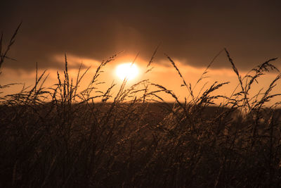 Scenic view of silhouette field against sky during sunset