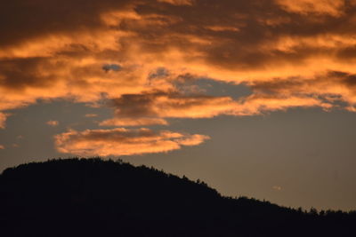 Low angle view of silhouette trees against sky during sunset