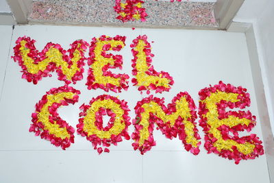 High angle view of pink flowers on wall