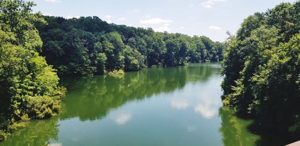 Scenic view of lake in forest against sky