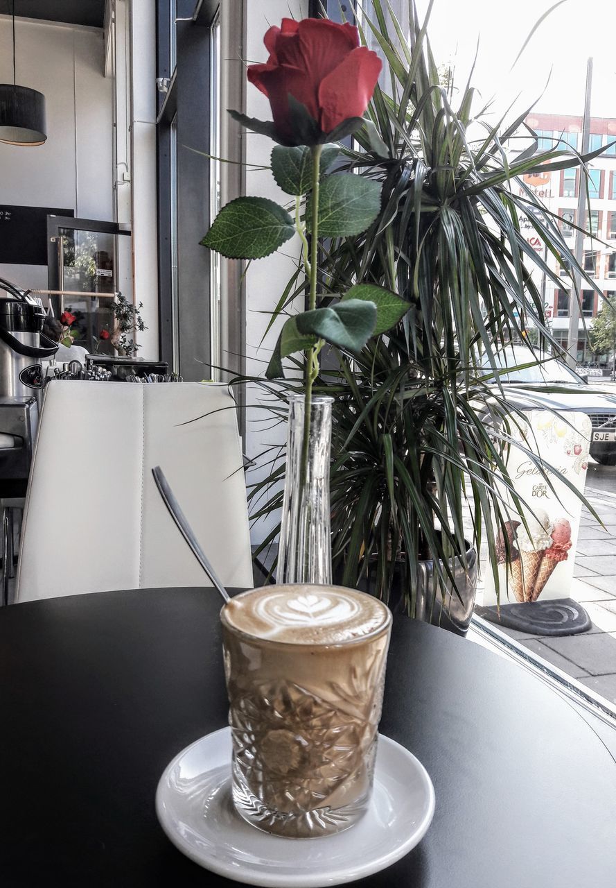 CLOSE-UP OF POTTED PLANT ON TABLE AT CAFE