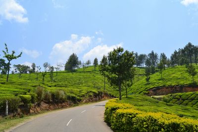 Road amidst trees against sky