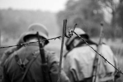 Close-up of barbed wire on plant