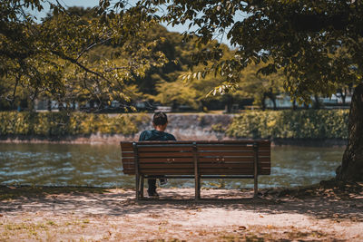 Rear view of man sitting on bench in park