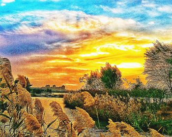 Scenic view of landscape against sky during sunset