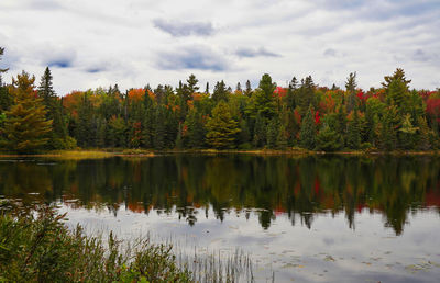 Scenic view of lake by trees against sky