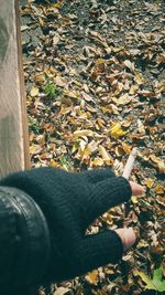 Low section of person standing by leaves