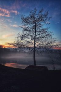 Bare tree on landscape against sky during sunset