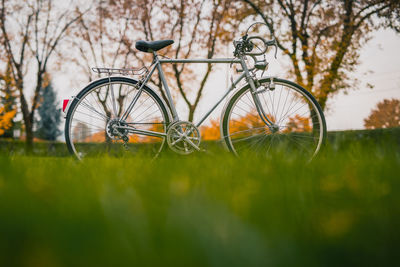 Bicycle parked by tree on field