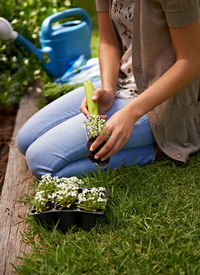 Midsection of man holding plant