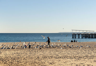 Scenic view of beach against clear sky