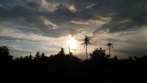 Silhouette trees against sky during sunset