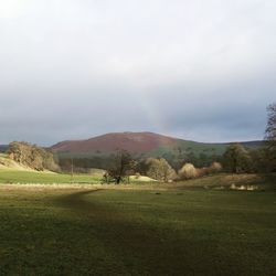 Scenic view of field against sky