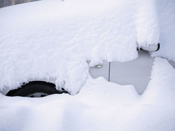 Close-up of snow covered field