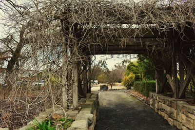 Footpath amidst trees and plants seen through bridge