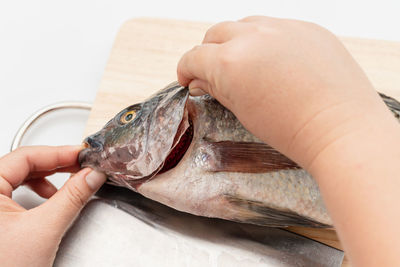 Midsection of person holding fish