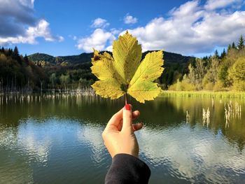  hand holding yellow leaf against lake and mountains