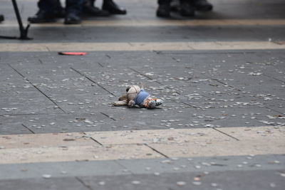 A doll throw outside the government building in protest against the incumbent government