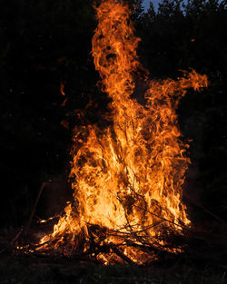 Close-up of bonfire on tree at night