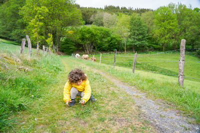 Cute boy looking at flowers and insects... cows behind