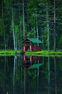 Scenic view of lake and trees in forest