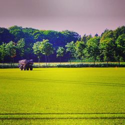 Scenic view of grassy field against sky